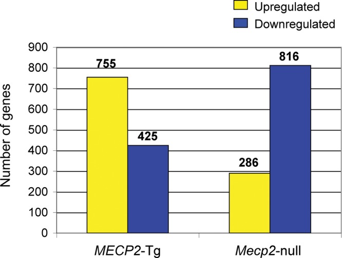 Figure 1.