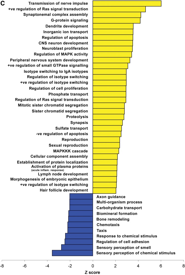 Figure 5.