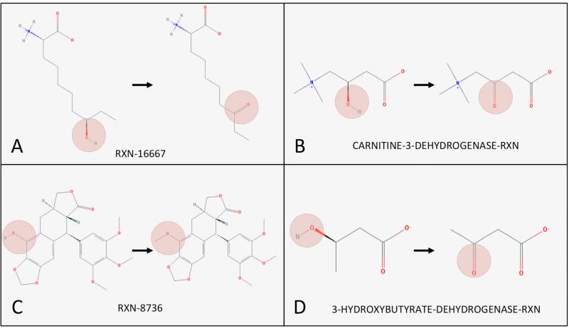 Fig. 6