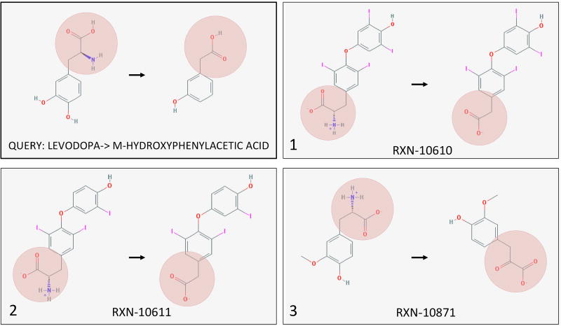 Fig. 8