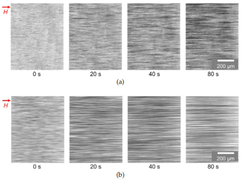 Figure 20