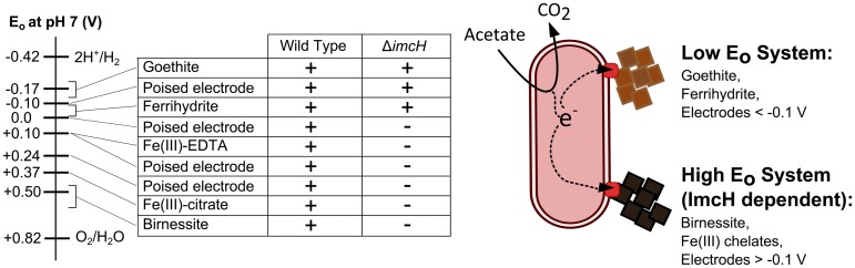 FIG 6 