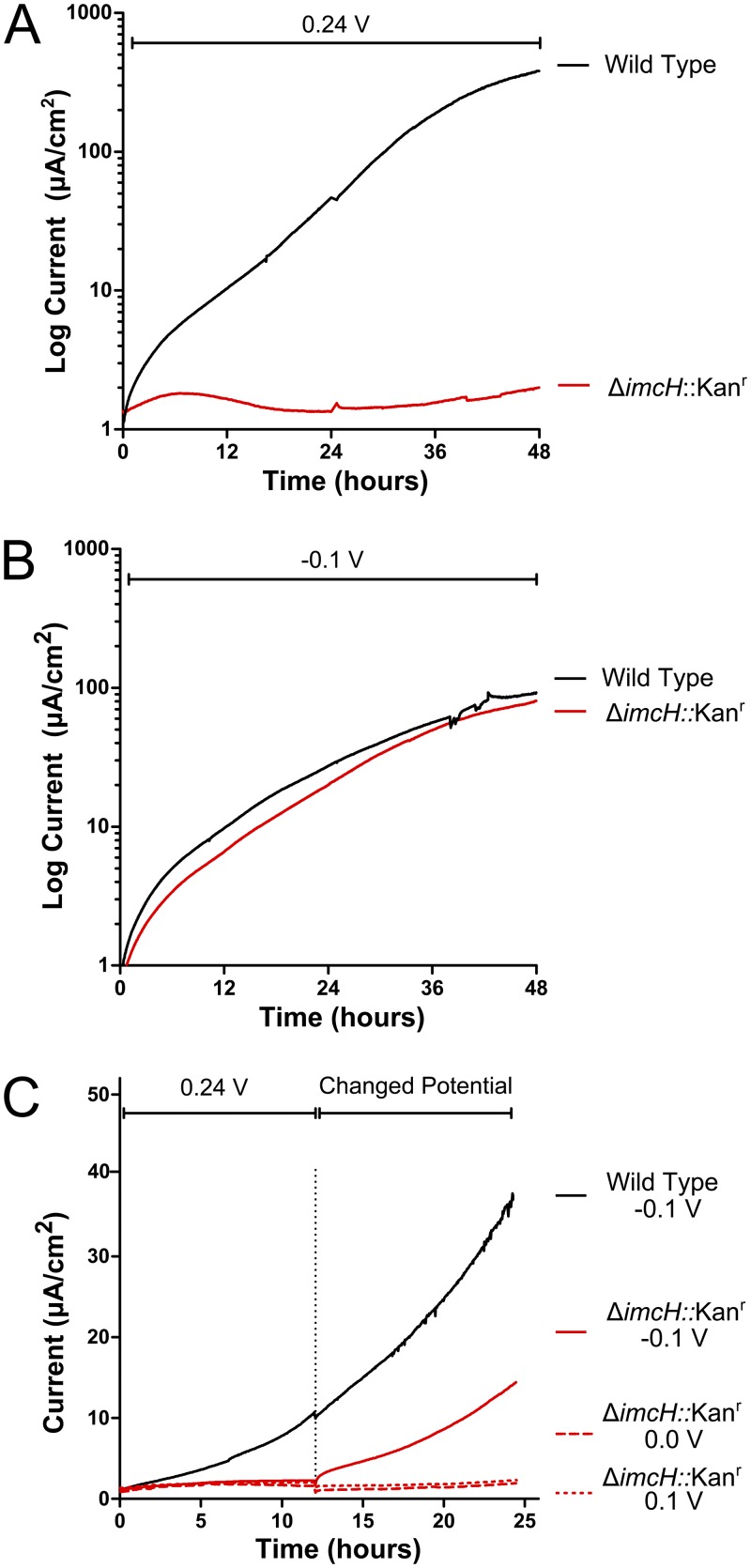 FIG 4 