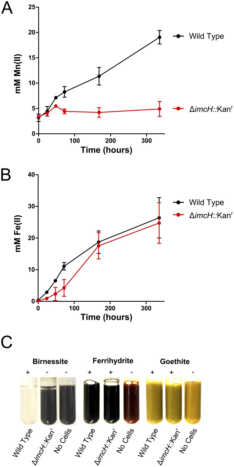 FIG 3 