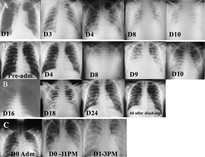 Fig. 2