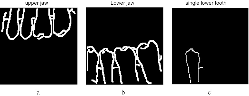 Fig. 7