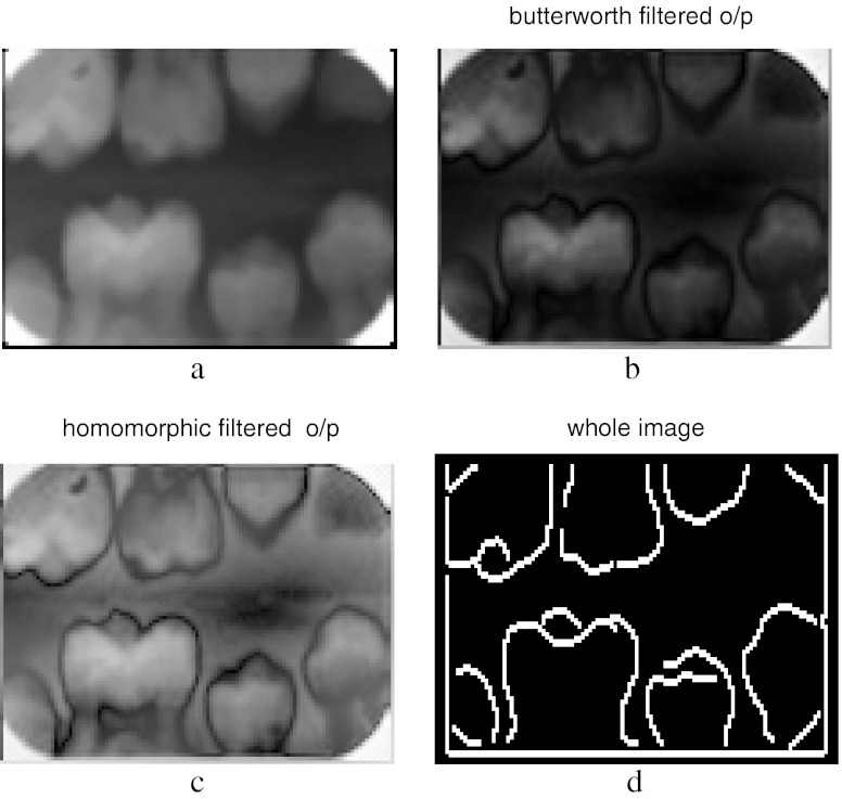 Fig. 10