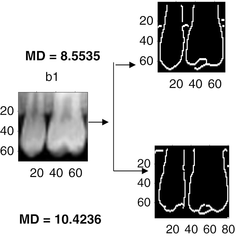 Fig. 17