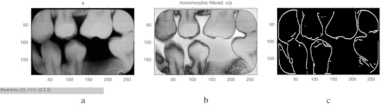 Fig. 12