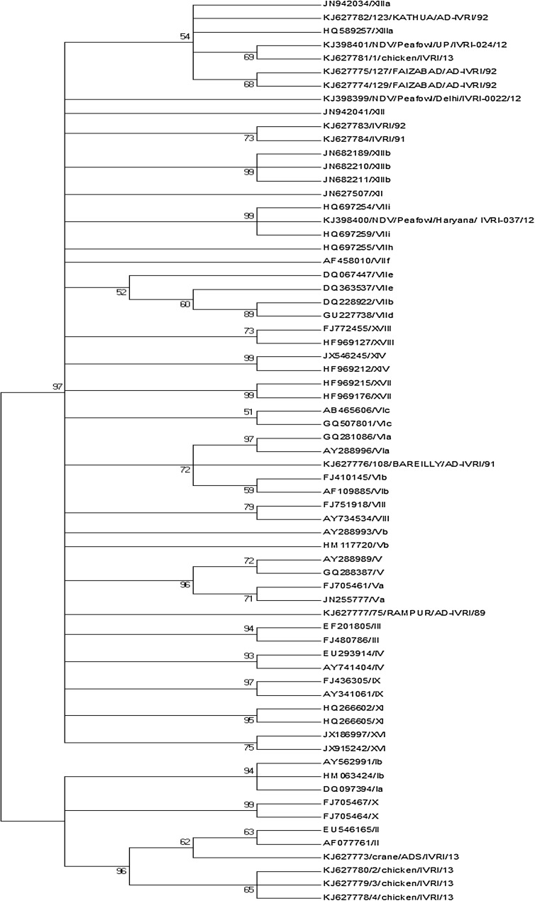 Fig. 1