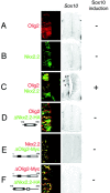 Figure 7.