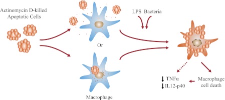 FIGURE 7.