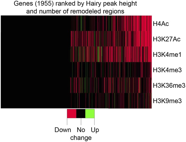 Figure 5—figure supplement 1.