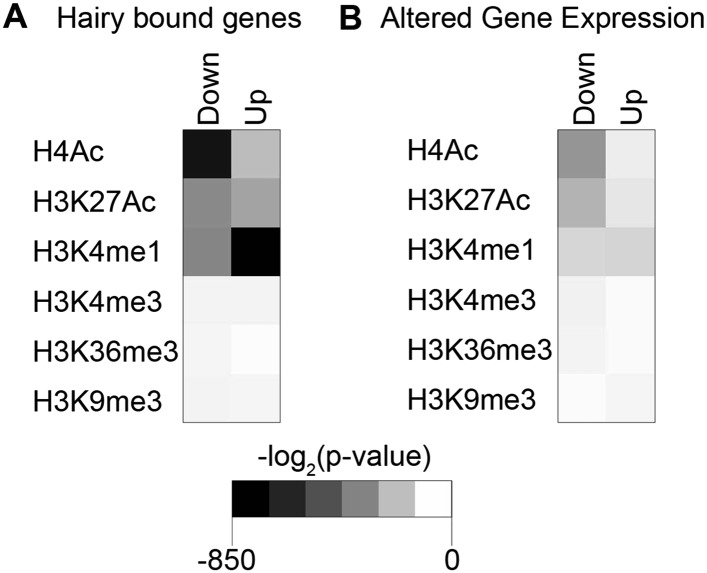 Figure 4—figure supplement 1.