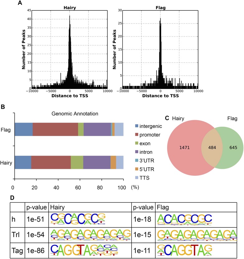 Figure 1—figure supplement 1.