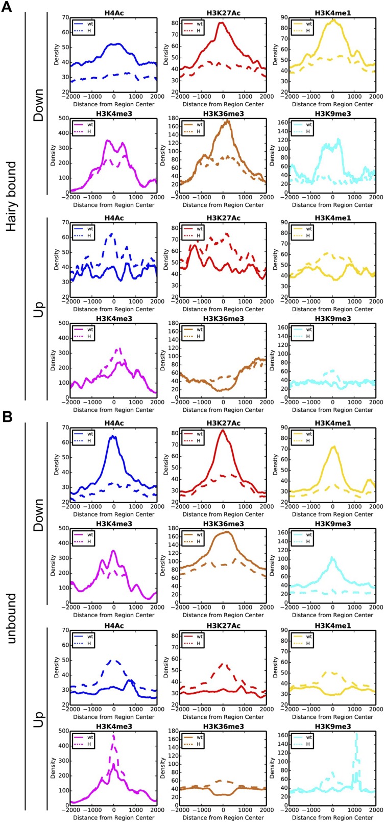 Figure 3—figure supplement 1.