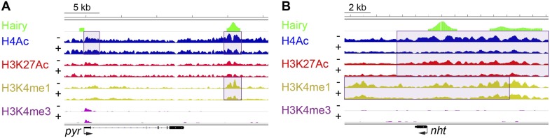 Figure 5.