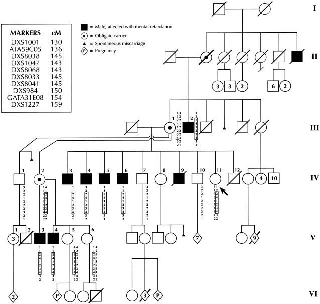 Figure  1