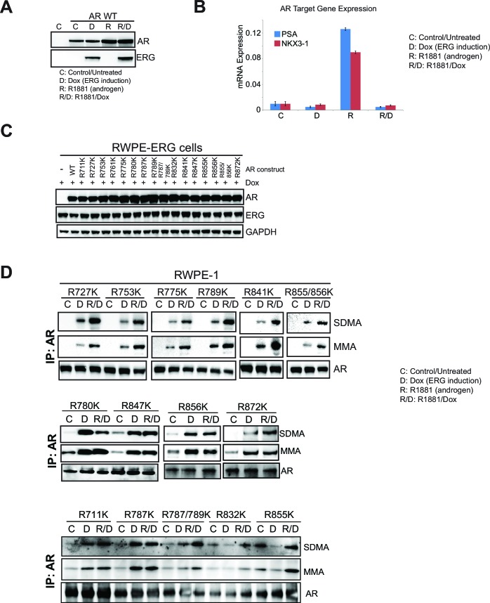 Figure 3—figure supplement 3.