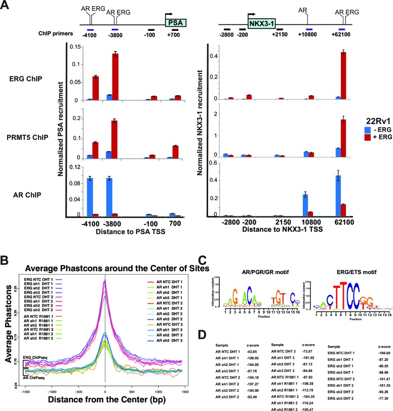 Figure 2—figure supplement 3.