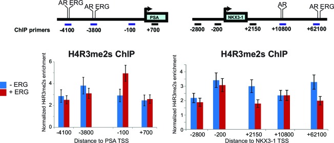 Figure 3—figure supplement 1.