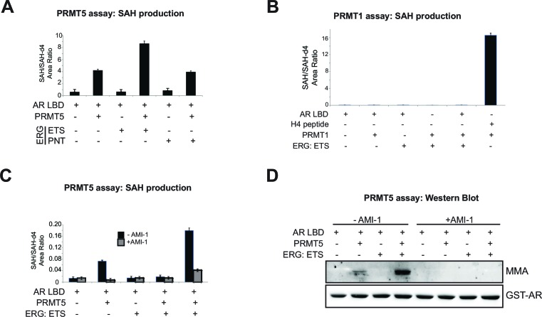 Figure 3—figure supplement 2.