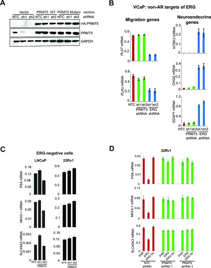 Figure 2—figure supplement 2.