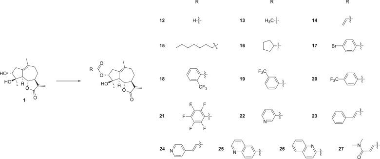 Scheme 3