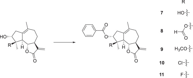 Scheme 2