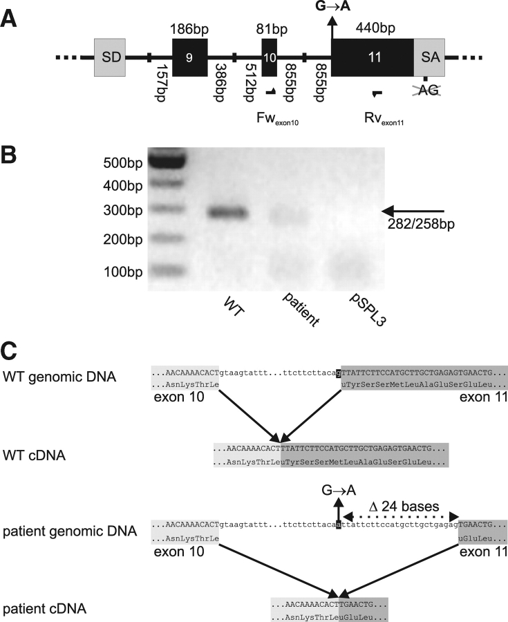 Figure 2: