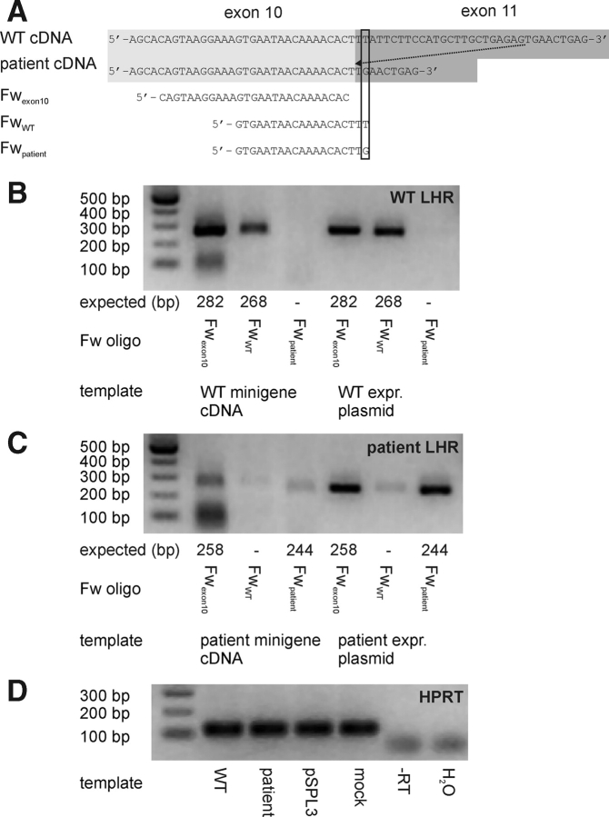 Figure 3: