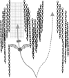 FIG. 1.