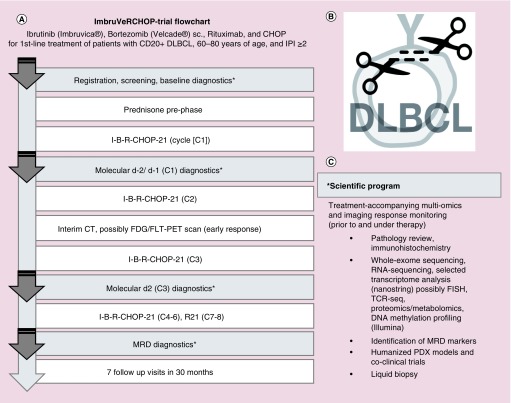 Figure 1. 