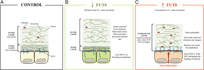 Fig. 6.