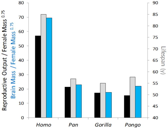 Extended Data Figure 1