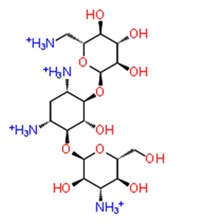 graphic file with name pathogens-08-00128-i002.jpg