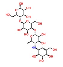 graphic file with name pathogens-08-00128-i006.jpg