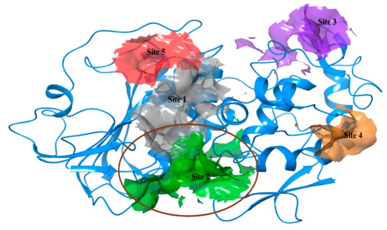 Figure 2