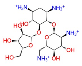 graphic file with name pathogens-08-00128-i001.jpg