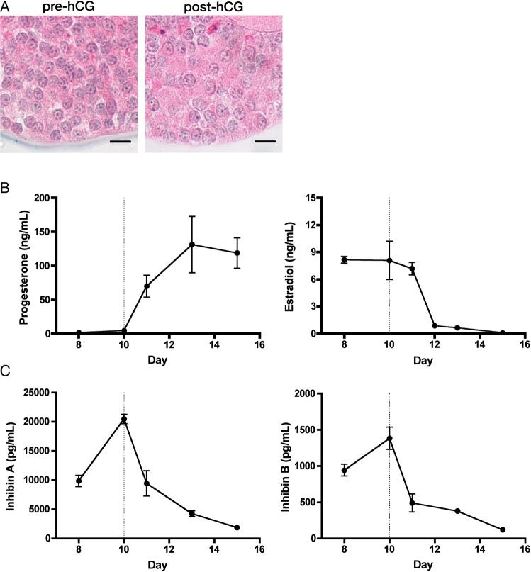 Figure 3