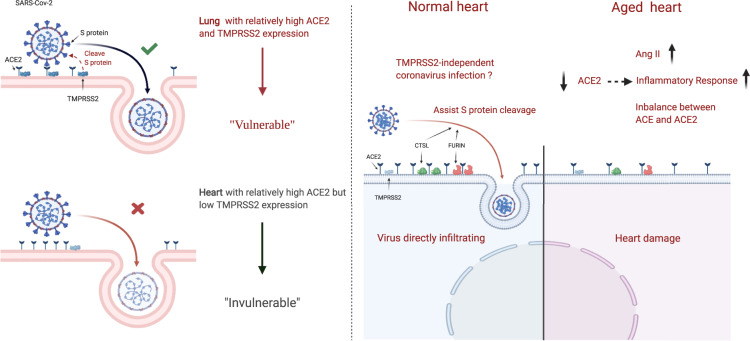 Graphical Abstract