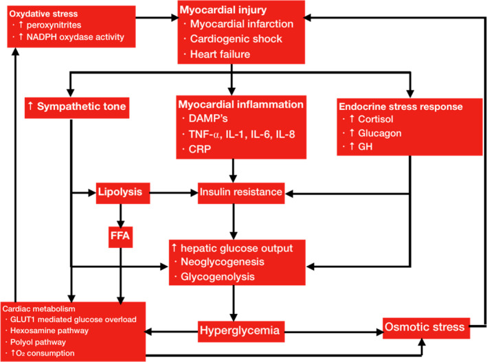 FIGURE 2