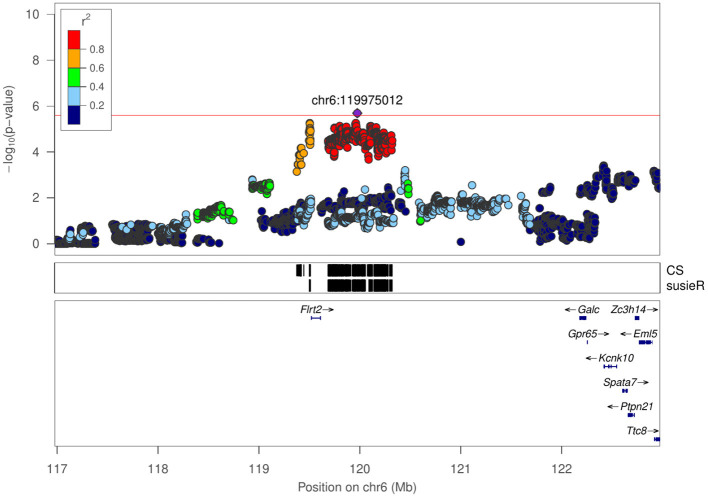 Figure 5