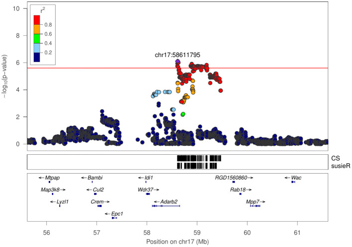 Figure 6