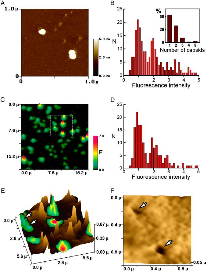 Fig 4.