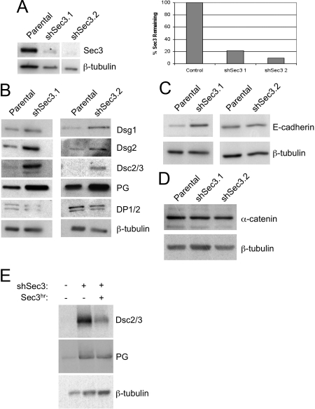 Figure 10.