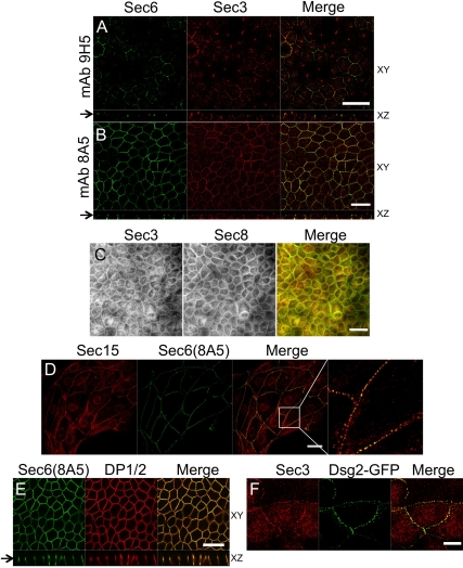 Figure 2.