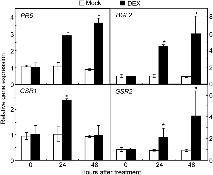 Figure 10.