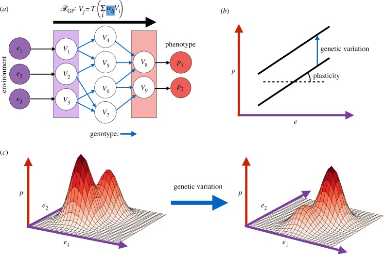 Figure 9.