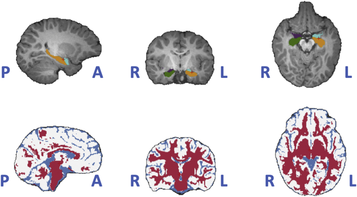 Figure 2